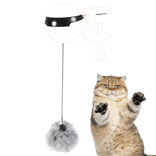 Xvilmaun Katzentürspielzeug, Katzenballspielzeug,Batteriebetriebenes hängendes automatisches Ballspielzeug mit Knopfsteuerung | Interaktives Trainingsspielzeug mit Knopfsteuerung für Katzen – von Xvilmaun