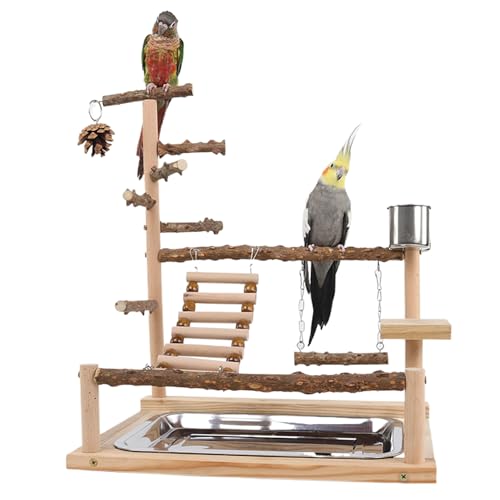 Xweptuy Bird Playground Naturalholz Papageienständer mit Feeder Cup Bird Perch Play Fitness Gymnastikspielzeug Mehrzweckpapagei Barc Xweptuy Bird Playground Naturalholz Papageienständer mit Feeder Cup Bird Perch Play Fitness Gymnastikspielzeug Mehrzweckpapagei Barc von Xweptuy