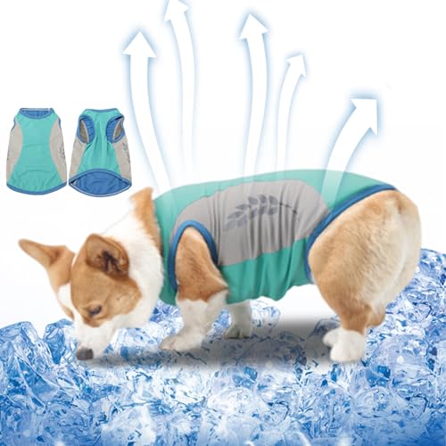 Hundekühlung Weste reflektierende Haustierkühlung Jacke Sommer Hundkühler Kleidung zum Wandern von Xweptuy