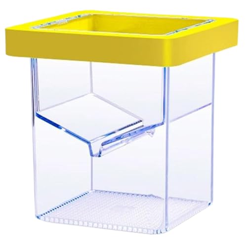 Inkubator, Aquarium -Züchterbox für Fischtank, 4, 33 x 3, 39 x 3, 39 schwimmende Quadratisolation Box für Babyfische von Xweptuy