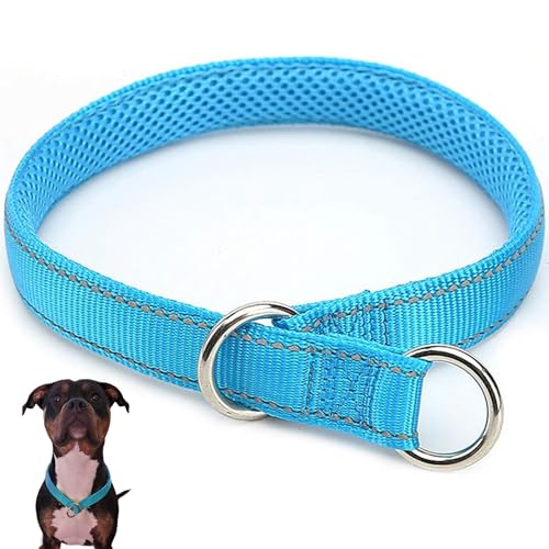 Xweptuy Slip -Kragen für Hunde, 24 -Zoll -Reflexionsrohr für Hunde, weicher Nylonhundrutsch mit Metallschnalle, tragbare Hundetette Xweptuy Slip -Kragen für Hunde, 24 -Zoll -Reflexionsrohr für Hunde, weicher Nylonhundrutsch mit Metallschnalle, tragbare Hundetette von Xweptuy