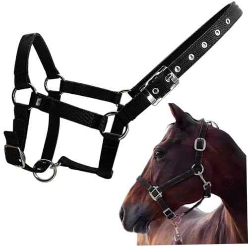 Xweptuy Halfter für Pferde einstellbar 1 breites PP -Gurtbacken -Halfter mit Metallhardware für Training, Schwarze Farbe, m von Xweptuy