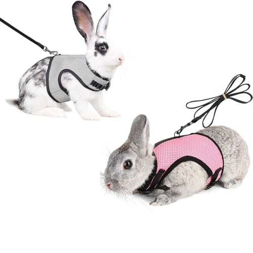 Kaninchengeschirr und Leine, verstellbar, für kleine Tiere, Grau, Rosa, 2-teilig Kaninchengeschirr und Leine, verstellbar, für kleine Tiere, Grau, Rosa, 2-teilig von XzhixiangKing
