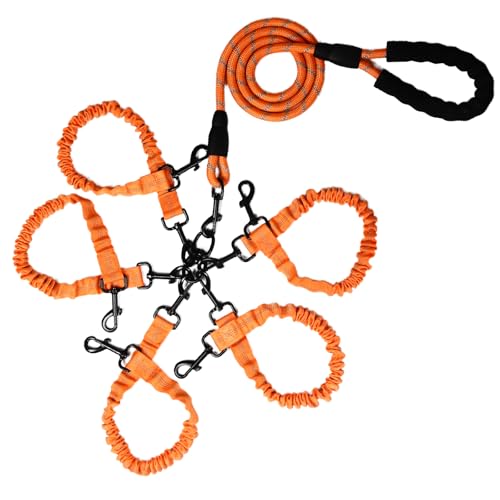 Doppelleine für Hunde, Seil, Bungee, fünf Leine mit gepolstertem Griff, abnehmbar für 5 Hunde, verhedderungsfrei, gepolsterte Griffe, 360°-Drehgelenk, Orange, 5-Wege-Leine Doppelleine für Hunde, Seil, Bungee, fünf Leine mit gepolstertem Griff, abnehmbar für 5 Hunde, verhedderungsfrei, gepolsterte Griffe, 360°-Drehgelenk, Orange, 5-Wege-Leine von Y-ANNJYA