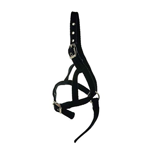 Y-H Hy Fohlenhalter, Schwarz Y-H Hy Fohlenhalter, Schwarz von Y-H