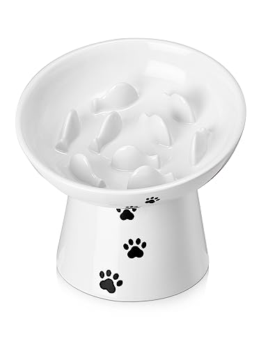 Y YHY Futternapf für Katzen, langsame Futterstation, Futterspender, Katzenschüssel, 15,2 cm, erhöhter Futternapf aus Keramik, Anti-Erbrechen für Trocken- und Nassfutter, Weiß von Y YHY