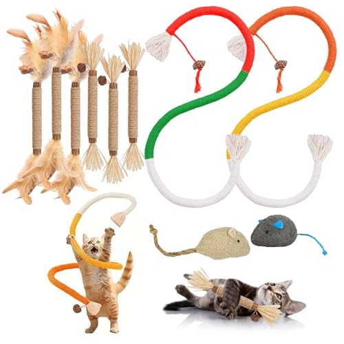 YADOBIG 10 Stück Katzenspielzeug 2 Beißseilen für Katzen, 6 Katzenminze Stick Spielzeug und 2 Katzenminze Maus Spielzeug, Interaktives Kauspielzeug Katze zur Zahnreinigung und zum Stressabbau(4 Typen) YADOBIG 10 Stück Katzenspielzeug 2 Beißseilen für Katzen, 6 Katzenminze Stick Spielzeug und 2 Katzenminze Maus Spielzeug, Interaktives Kauspielzeug Katze zur Zahnreinigung und zum Stressabbau(4 Typen) von YADOBIG