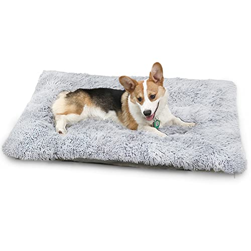 YAGE Kleines Hundebett, waschbar, flauschige Hundematratze, rutschfeste Unterseite, orthopädisches Hundebett, Anti-Angst, beruhigend, warmes Schlafsofa (M-65 x 50 x 8 cm) von YAGE