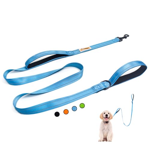 YALAVA Hundeleine mit doppeltem Griff, 2,5 cm, strapazierfähig, doppelt gepolsterter Griff, Verkehrsgriff und reflektierende Hundeleine für mittelgroße und große Hunde, Blau YALAVA Hundeleine mit doppeltem Griff, 2,5 cm, strapazierfähig, doppelt gepolsterter Griff, Verkehrsgriff und reflektierende Hundeleine für mittelgroße und große Hunde, Blau von YALAVA
