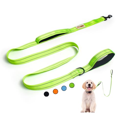 YALAVA Hundeleine mit doppeltem Griff, 2,5 cm, strapazierfähig, doppelt gepolsterter Griff, Verkehrsgriff und reflektierende Hundeleine für mittelgroße und große Hunde, Grün YALAVA Hundeleine mit doppeltem Griff, 2,5 cm, strapazierfähig, doppelt gepolsterter Griff, Verkehrsgriff und reflektierende Hundeleine für mittelgroße und große Hunde, Grün von YALAVA