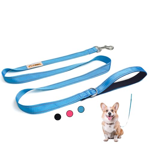 YALAVA Reflektierende Hundeleine mit weich gepolstertem Griff, robuste Nylon-Hundeleine, passend für kleine, mittelgroße oder große Hunde, Blau von YALAVA