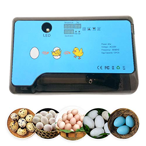 Smart Mini Egg Hatching 12 Eier Inkubator Automatische Temperaturregelung Hatcher für Hühner, Enten, Vögel Smart Mini Egg Hatching 12 Eier Inkubator Automatische Temperaturregelung Hatcher für Hühner, Enten, Vögel von YALIKESI