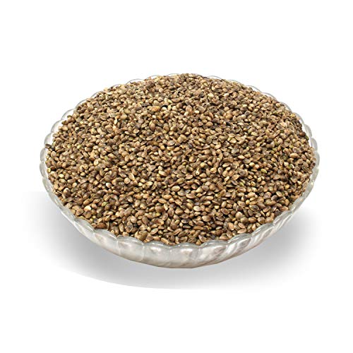 LanDixx Hanfsamen 10kg Futterhanf Pferde Nager Vogelfutter Angelhanf LanDixx Hanfsamen 10kg Futterhanf Pferde Nager Vogelfutter Angelhanf von LanDixx
