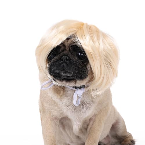YANBOYI Ikun Lustige Katzen Hunde Bunte Perücken Kostüm Hundeperücken Haarkleid Party Haarteil für Kleid/Weihnachten YANBOYI Ikun Lustige Katzen Hunde Bunte Perücken Kostüm Hundeperücken Haarkleid Party Haarteil für Kleid/Weihnachten von YANBOYI