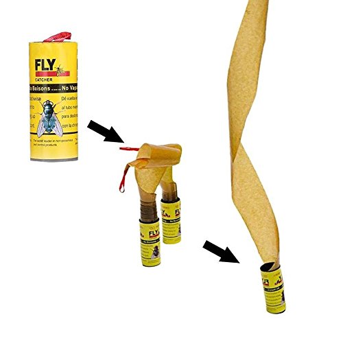 YANFJHV Catcher Fliegen Insekten Papier 4 Sticky Trap Fliege Netz (Multicolor, One Size) von YANFJHV