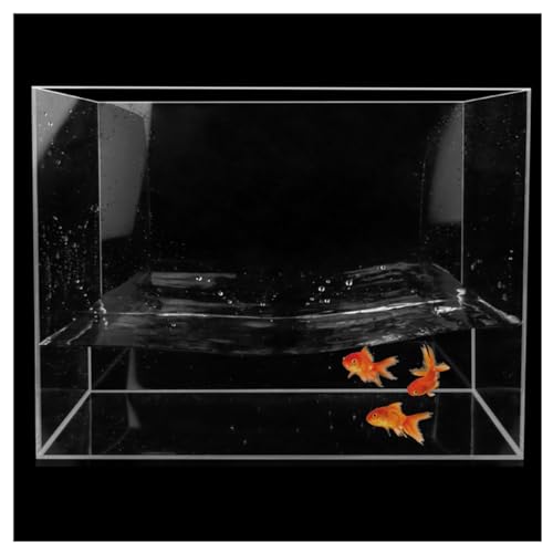 Aquarium-Aquarium, Acrylmaterial, Desktop-Aquarium Für Kampffische, Guppys, Garnelen, Goldfische, Kann Als Aufbewahrungsbox Verwendet Werden,20x10x5 von YANGMIAN