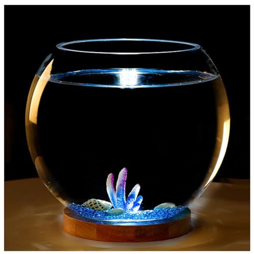 Aquarium Becken– Extra Klares Glasgehäuse – Aquarium Für Goldfische, Garnelen, Guppys. Mit USB-Sockel Für Warmes Und Kühles Licht,Large Cold Light c von YANGMIAN