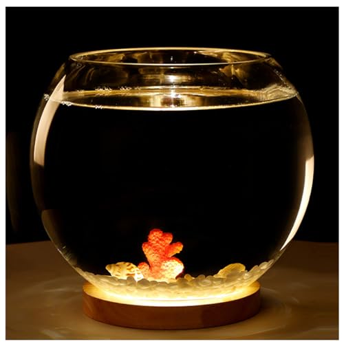 Aquarium Becken– Extra Klares Glasgehäuse – Aquarium Für Goldfische, Garnelen, Guppys. Mit USB-Sockel Für Warmes Und Kühles Licht,Large warm Light a von YANGMIAN