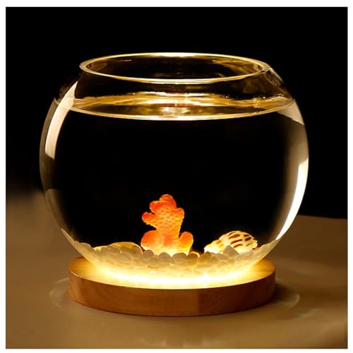 Aquarium Becken– Extra Klares Glasgehäuse – Aquarium Für Goldfische, Garnelen, Guppys. Mit USB-Sockel Für Warmes Und Kühles Licht,Small warm Light a von YANGMIAN