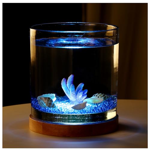 Aquarium Becken Für Aquarien Mit USB-Basis Für Warmes Und Kühles Licht, Klarglas-Aquarium Für Guppys, Garnelen Und Goldfische,Small Cold Light c von YANGMIAN