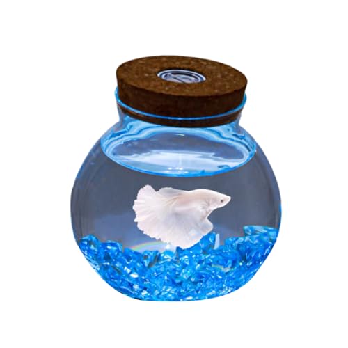 Aquarium Becken LED-Licht, Kleines Fischglas Aus Glas Mit Dekoration, Ideal Für Blumen Oder Als Fischglas, 13,8 X 12 cm,B von YANGMIAN