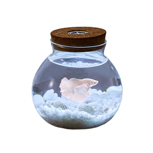 Aquarium Becken LED-Licht, Kleines Fischglas Aus Glas Mit Dekoration, Ideal Für Blumen Oder Als Fischglas, 13,8 X 12 cm,D von YANGMIAN
