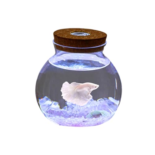 Aquarium-Starter, Aquarium Mit LED-Lichtern Und Dekoration, Für Kampffische, Guppys, Garnelen, Goldfische, 15 X 15 cm,F von YANGMIAN