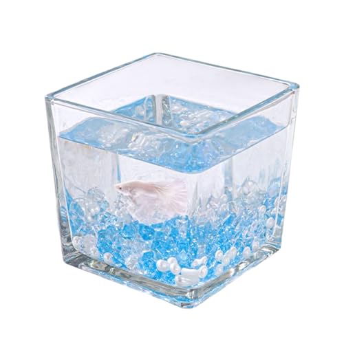 Aquarium-Starter-Sets, Quadratisches Kleines Aquarium Für Kampffische, Guppys, Garnelen, Goldfische,12x12cm von YANGMIAN