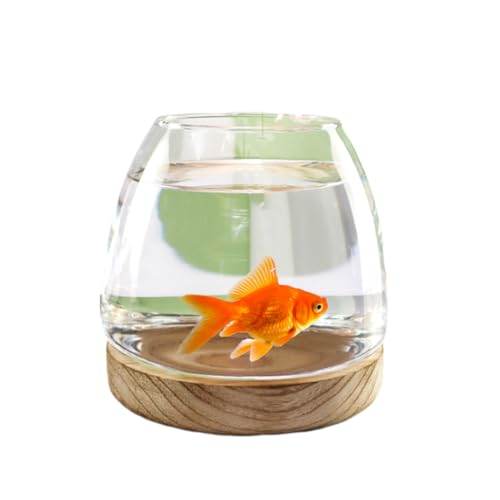 Glas-Aquarium Mit Holzsockel, Glas Mit Hoher Lichtdurchlässigkeit Für Klare Sicht, Kleines Aquarium Für Kampffische, Goldfische Und Garnelen,10x10cm von YANGMIAN
