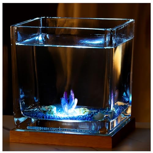 Quadratisches Glas-Aquarium Mit USB-Sockel Für Warmes Und Kühles Licht, Für Kampffische, Guppys, Garnelen Und Goldfische,Large Cold Light c von YANGMIAN