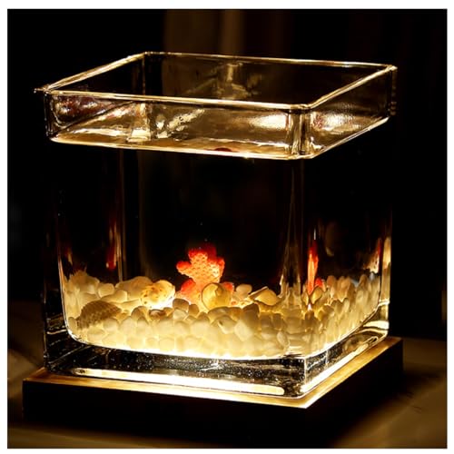 Quadratisches Glas-Aquarium Mit USB-Sockel Für Warmes Und Kühles Licht, Für Kampffische, Guppys, Garnelen Und Goldfische,Large warm Light a von YANGMIAN