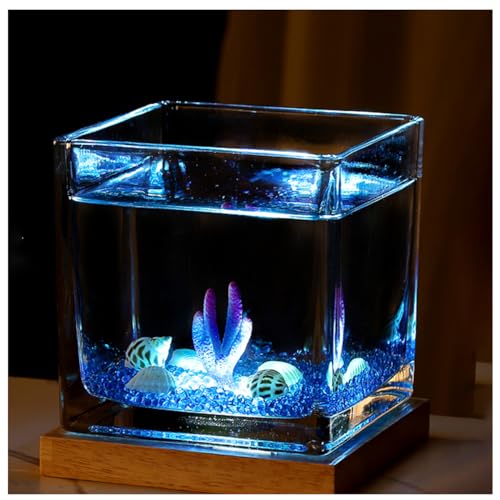 Quadratisches Glas-Aquarium Mit USB-Sockel Für Warmes Und Kühles Licht, Für Kampffische, Guppys, Garnelen Und Goldfische,Small Cold Light c von YANGMIAN