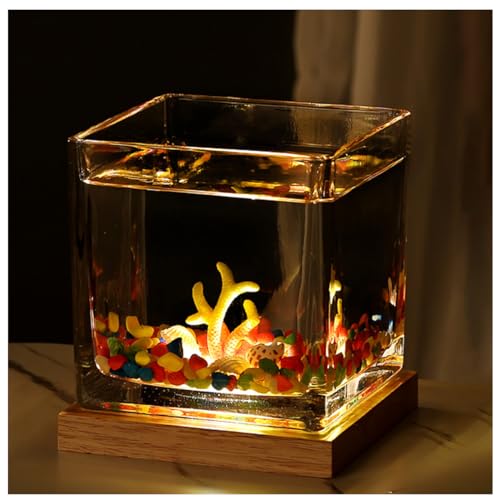 Quadratisches Glas-Aquarium Mit USB-Sockel Für Warmes Und Kühles Licht, Für Kampffische, Guppys, Garnelen Und Goldfische,Small warm Light b von YANGMIAN