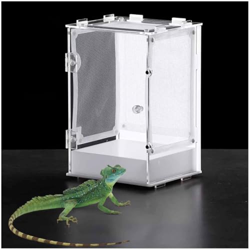 Reptilien-Terrarium Acrylmaterial 360°-Sicht Ohne Toten Winkel Geeignet Für Viele Haustiere,Large von YANGMIAN