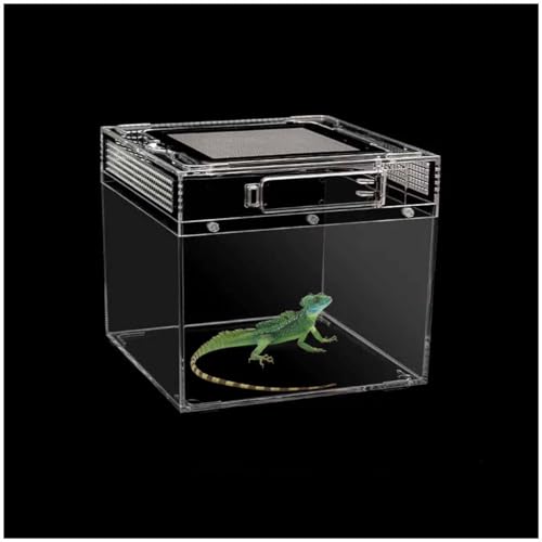 Reptilien-Terrarium Amphibische Aufzuchtbox Aus Acryl Für Reptilien, Bartagamen, Geckos, Echsen, Geckobecken, Einfache Montage,B von YANGMIAN