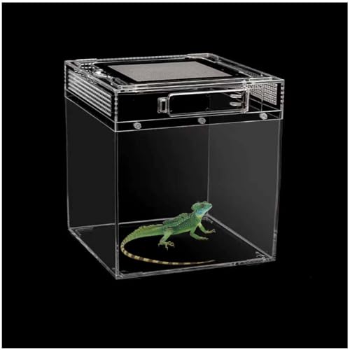 Reptilien-Terrarium Amphibische Aufzuchtbox Aus Acryl Für Reptilien, Bartagamen, Geckos, Echsen, Geckobecken, Einfache Montage,C von YANGMIAN