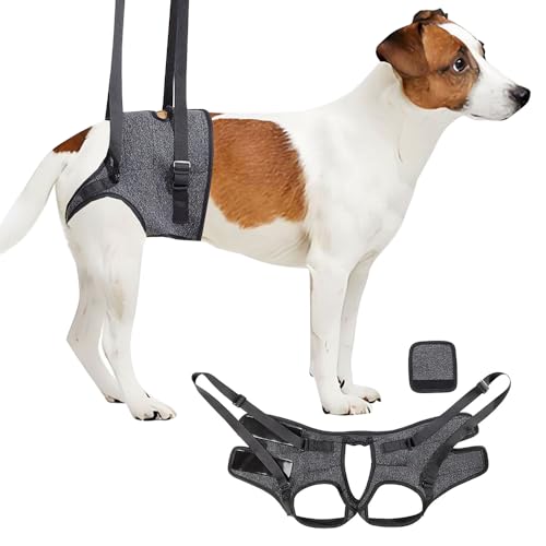 YANGUN Hundegeschirr zum Heben, verstellbares Hundegeschirr für schwache Hinterbeine, DogLiftgeschirr, Hundeschlingen für verletzte, behinderte ältere Hunde (S) von YANGUN