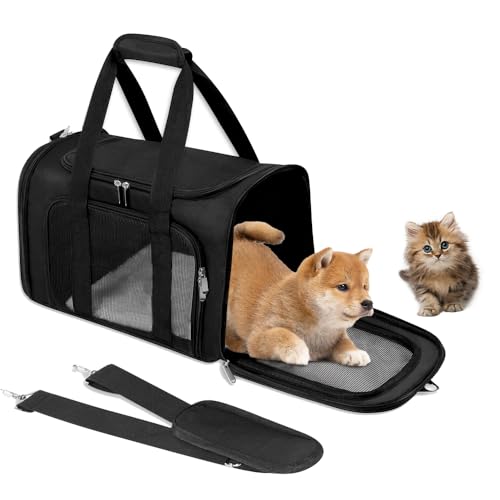 YANGUN Weiche Seiten Faltbare Katze/Hund/Haustier Tragetasche, Katzentragetasche mit 3-seitigem Netz, tragbare Welpen-/Haustier-Tragetaschen mit Schultergurt & abnehmbarer Matte, bis zu 6,8 kg YANGUN Weiche Seiten Faltbare Katze/Hund/Haustier Tragetasche, Katzentragetasche mit 3-seitigem Netz, tragbare Welpen-/Haustier-Tragetaschen mit Schultergurt & abnehmbarer Matte, bis zu 6,8 kg von YANGUN