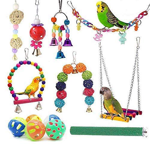 YANGWX Vogelspielzeug, Papageien-Kauspielzeug für kleine Sittiche, Nymphensittiche, Aras, Finken, 12 Stück von YANGWX