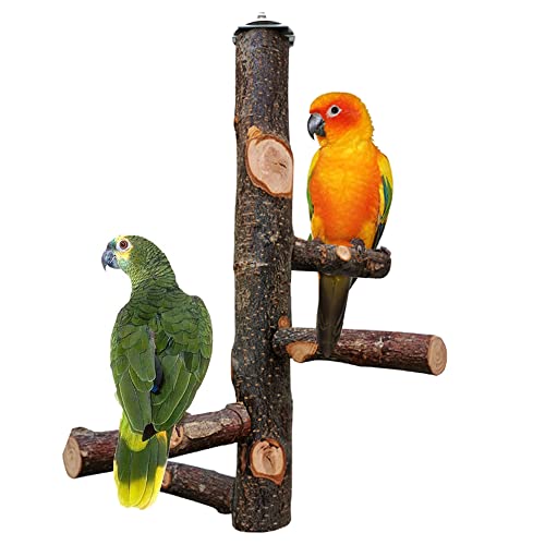 Naturholz Vögel Spielzeug, Sitzstangen für Papageien, Naturholz Sitzstangen, Stangen Vogelzubehör, für Kleinsittiche, Nymphensittiche, Sittiche, Aras, Papageien, Turteltauben, Finken von YANJINGHE