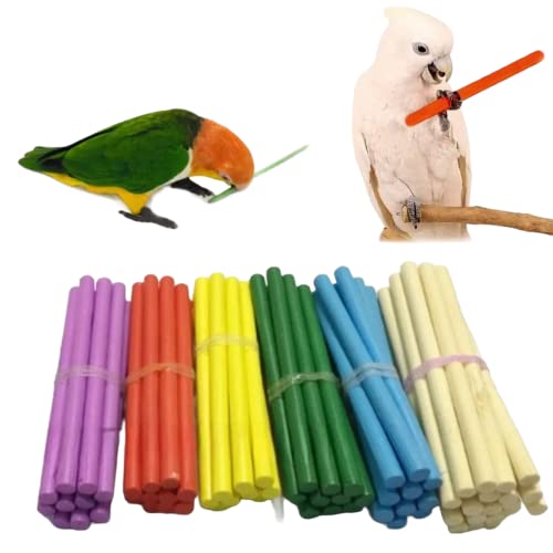 YANQIN Vogel-Kauspielzeug, buntes Naturholz-Vogelspielzeug-Set, kleines Haustier-Fuß-Talon-Spielzeug für Papageien, Sittiche, Nymphensittiche, Sittiche, Sittiche, Sittiche, Sittiche, Sittiche, YANQIN Vogel-Kauspielzeug, buntes Naturholz-Vogelspielzeug-Set, kleines Haustier-Fuß-Talon-Spielzeug für Papageien, Sittiche, Nymphensittiche, Sittiche, Sittiche, Sittiche, Sittiche, Sittiche, von YANQIN