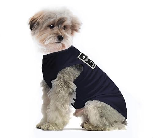 Hundekleidung für Kleine Hunde,Hund Sonnencreme T-Shirt Baumwollhemden Weich und Atmungsaktiv, Hundekostüm Bekleidung Fit für Kleine Extra Kleine Mittlere Hundekatze (M, Blau) von YAODHAOD