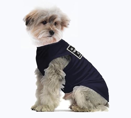 Hundekleidung für Kleine Hunde,Hund Sonnencreme T-Shirt Baumwollhemden Weich und Atmungsaktiv, Hundekostüm Bekleidung Fit für Kleine Extra Kleine Mittlere Hundekatze (S, Blau) von YAODHAOD