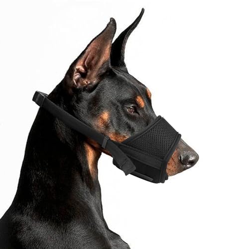 Maulkorb für Hunde, weich, atmungsaktiv und langlebig, Nylon, verhindert Beißen und Fressen, großartige Wahl für Spaziergänge und Tierärzte, für kleine, mittelgroße und große Hunde, Schwarz, Größe M von YAODHAOD