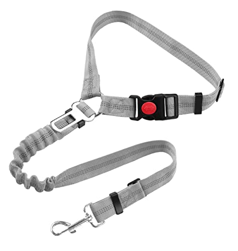 Sicherheitsgeschirr Hund, Einstellbar mit Elastischer Buffer, 360° Drehkarabiner Nylon Haustier Sicherheitsgurte Heavy Duty Auto Geschirr für Hunde (Sockeltyp, Grau) von YAODHAOD