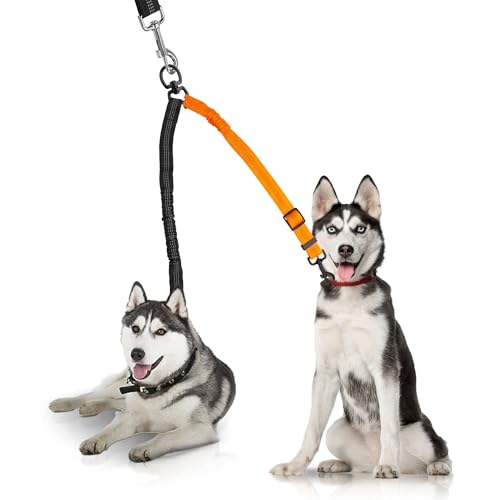 YAODHAOD Doppelte Hundeleine, zwei Hundeleinen-Splitter, kein Verheddern, um 360° drehbar, reflektierend, verstellbare Länge, Bungee, strapazierfähig, Spazierengehen, Training, doppelte Verlängerung von YAODHAOD