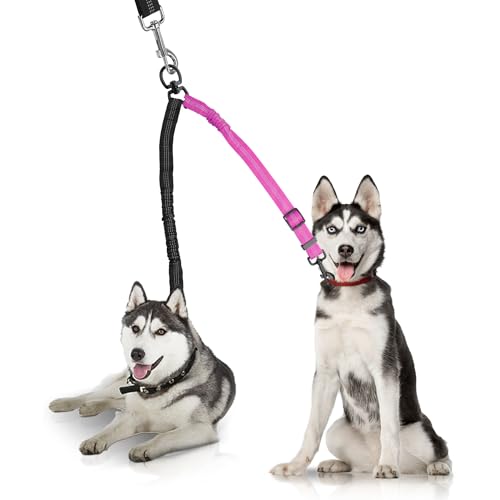 YAODHAOD Doppelte Hundeleine, zwei Hundeleinen-Splitter, kein Verheddern, um 360° drehbar, reflektierend, verstellbare Länge, Bungee, strapazierfähig, Spazierengehen, Training, doppelte Verlängerung YAODHAOD Doppelte Hundeleine, zwei Hundeleinen-Splitter, kein Verheddern, um 360° drehbar, reflektierend, verstellbare Länge, Bungee, strapazierfähig, Spazierengehen, Training, doppelte Verlängerung von YAODHAOD