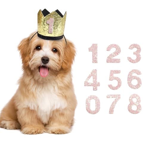 YAODHAOD Hunde-Geburtstagshut mit Krone für Mädchen und Jungen, wiederverwendbar, für Geburtstagsparty, Katze, Kätzchen, Adoptionsfeier oder Gotcha-Tag, Fotodekoration, Partyhut (Gold-Krone) von YAODHAOD