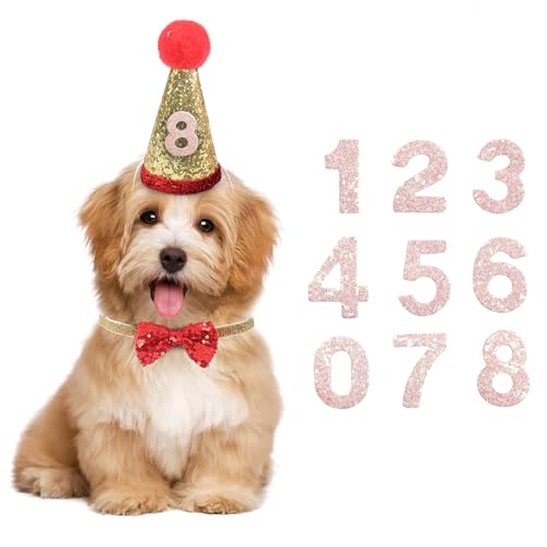 YAODHAOD Hunde-Geburtstagshut mit Krone für Mädchen und Jungen, wiederverwendbar, für Geburtstagsparty, Katze, Kätzchen, Adoptionsfeier oder Gotcha-Tag, Fotodekoration, Partyhut mit Fliege von YAODHAOD