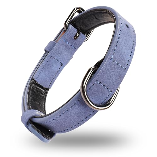 YAODHAOD Hundehalsband Weich Gepolstertes Leder für Hunde, Verstellbares Mikrofaser Hundehalsband Leder, Heavy Duty Hundehalsband für Kleine Mittel Große Hunde Welpen Katze (XS, Blau) von YAODHAOD